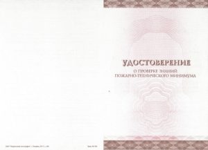 Формы выдаваемых документов